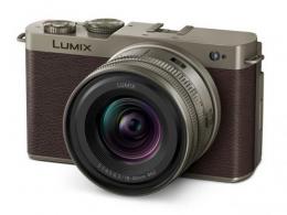 パナソニック LUMIX DC-S9N-N 広角ズームレンズキット [チタンゴールド]